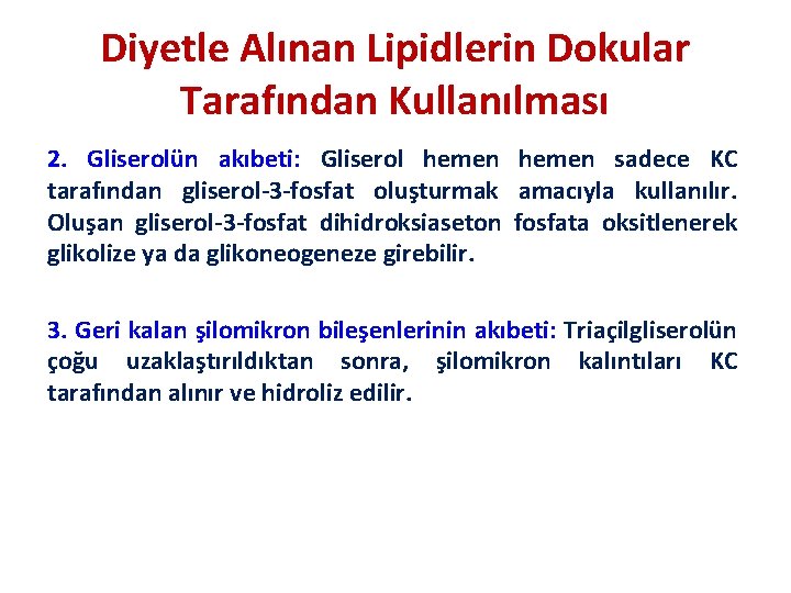 Diyetle Alınan Lipidlerin Dokular Tarafından Kullanılması 2. Gliserolün akıbeti: Gliserol hemen sadece KC tarafından