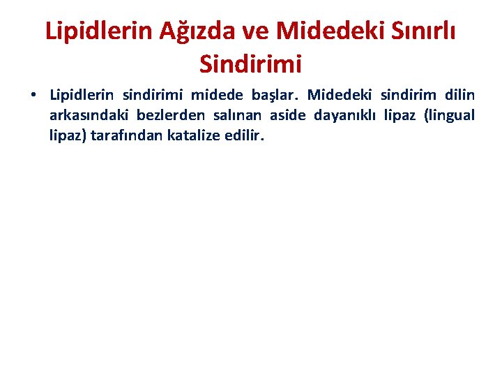 Lipidlerin Ağızda ve Midedeki Sınırlı Sindirimi • Lipidlerin sindirimi midede başlar. Midedeki sindirim dilin