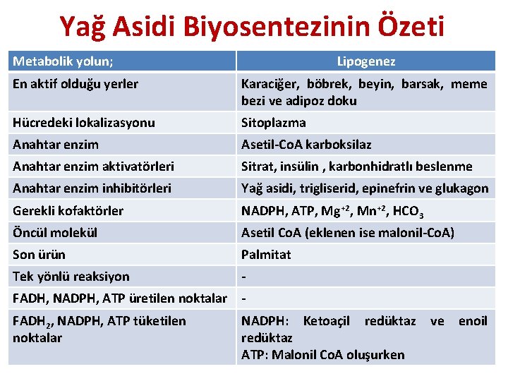 Yağ Asidi Biyosentezinin Özeti Metabolik yolun; Lipogenez En aktif olduğu yerler Karaciğer, böbrek, beyin,