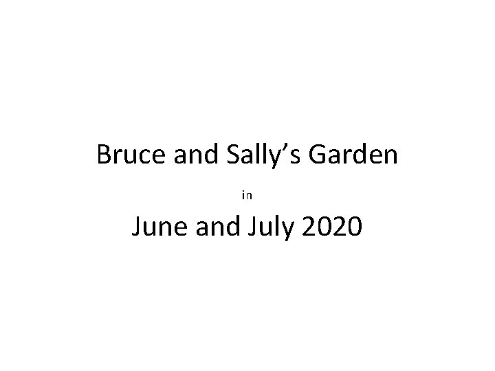 Bruce and Sally’s Garden in June and July 2020 