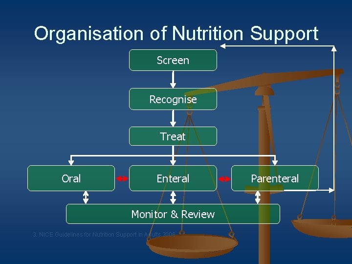 Organisation of Nutrition Support Screen Recognise Treat Oral Enteral Monitor & Review 3. NICE