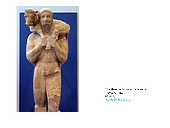 The Moschophoros or calf-bearer , circa 570 BC, Athens, Acropolis Museum. The Moschophoros or calf-bearer , circa 570 BC, Athens, Acropolis Museum.