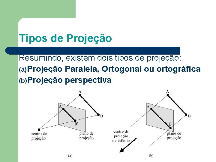 Tipos de Projeção Resumindo, existem dois tipos de projeção: (a) Projeção Paralela, Ortogonal ou