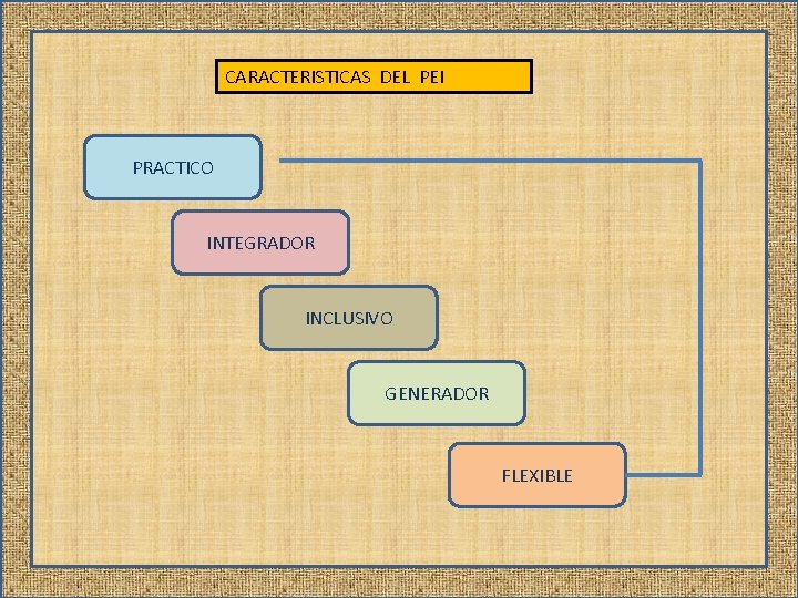 CARACTERISTICAS DEL PEI PRACTICO INTEGRADOR INCLUSIVO GENERADOR FLEXIBLE 