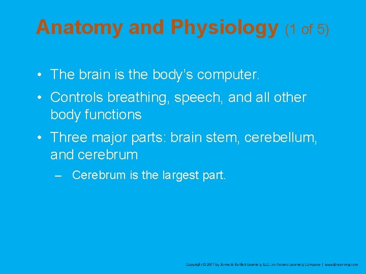 Anatomy and Physiology (1 of 5) • The brain is the body’s computer. •