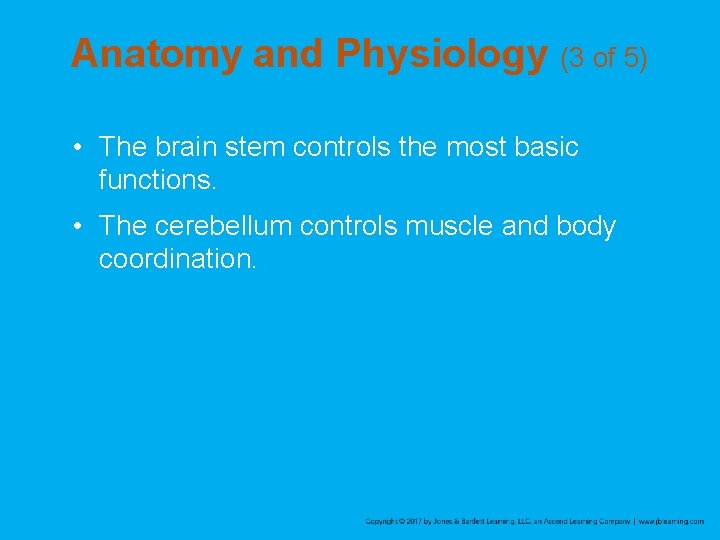 Anatomy and Physiology (3 of 5) • The brain stem controls the most basic