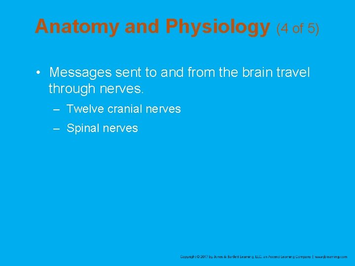 Anatomy and Physiology (4 of 5) • Messages sent to and from the brain