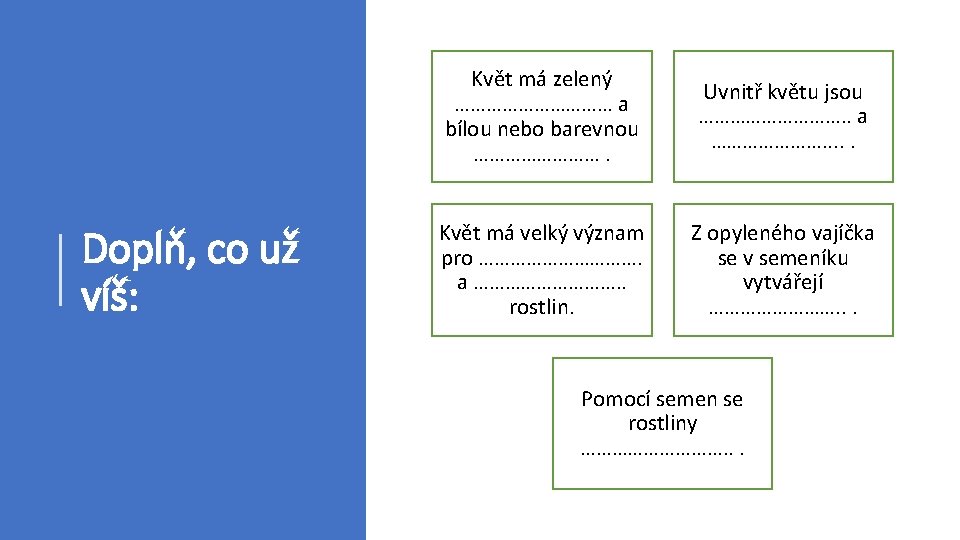 Doplň, co už víš: Květ má zelený …………… a bílou nebo barevnou …………. Uvnitř