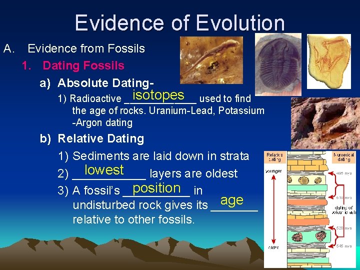 Evidence of Evolution A. Evidence from Fossils 1. Dating Fossils a) Absolute Dating- isotopes