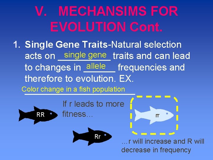 V. MECHANSIMS FOR EVOLUTION Cont. 1. Single Gene Traits Natural selection single gene traits