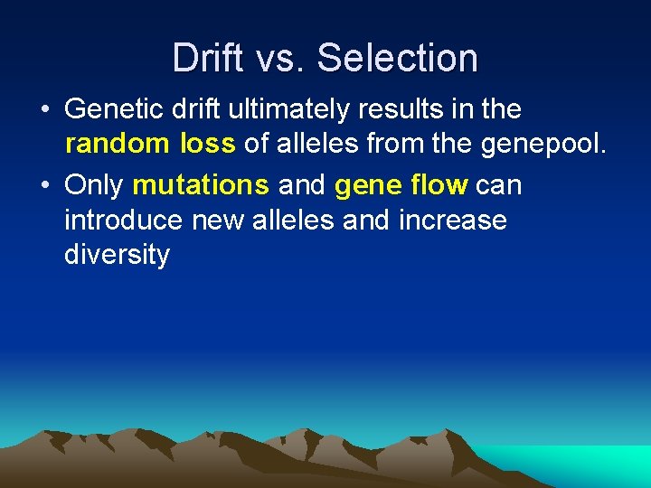 Drift vs. Selection • Genetic drift ultimately results in the random loss of alleles