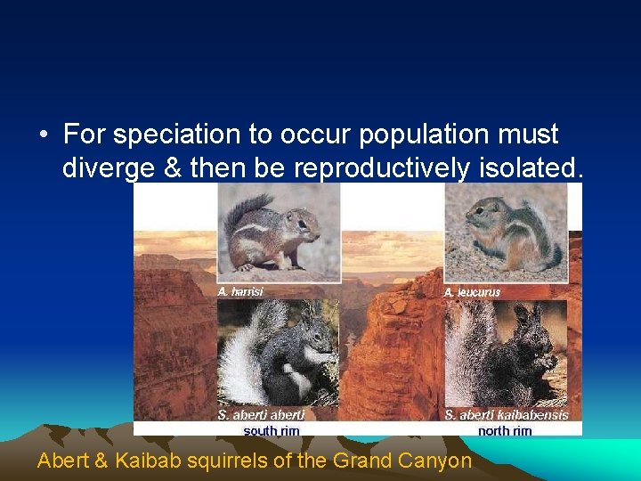  • For speciation to occur population must diverge & then be reproductively isolated.