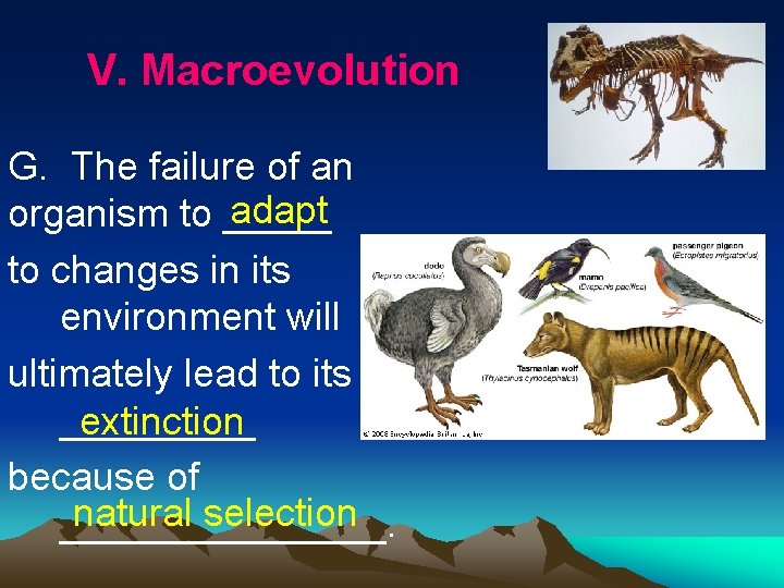 V. Macroevolution G. The failure of an adapt organism to _____ to changes in