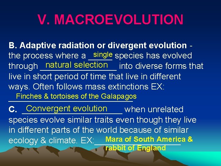 V. MACROEVOLUTION B. Adaptive radiation or divergent evolution single species has evolved the process
