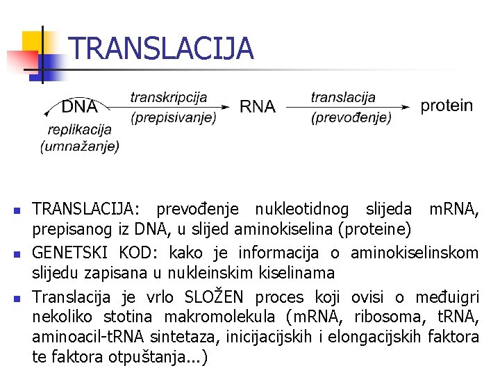 TRANSLACIJA n n n TRANSLACIJA: prevođenje nukleotidnog slijeda m. RNA, prepisanog iz DNA, u TRANSLACIJA n n n TRANSLACIJA: prevođenje nukleotidnog slijeda m. RNA, prepisanog iz DNA, u