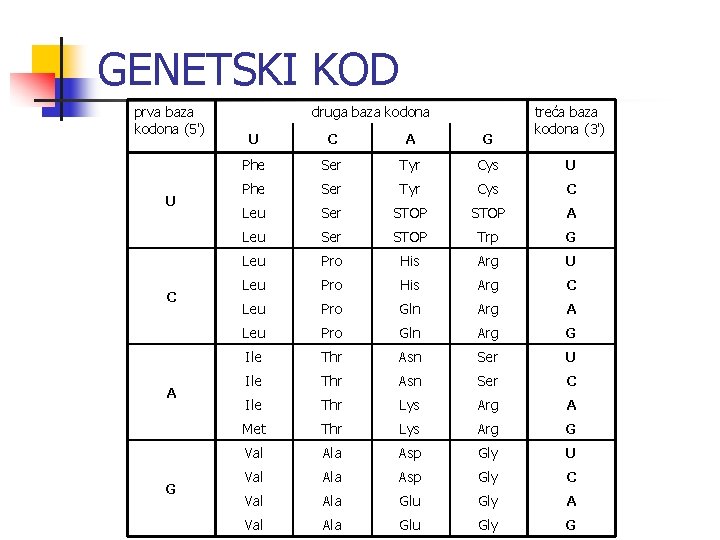 GENETSKI KOD prva baza kodona (5') U C A G druga baza kodona treća GENETSKI KOD prva baza kodona (5') U C A G druga baza kodona treća