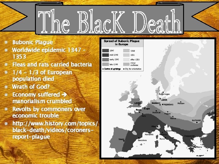 ¯ Bubonic Plague ¯ Worldwide epidemic 1347 – ¯ ¯ ¯ 1353 Fleas and