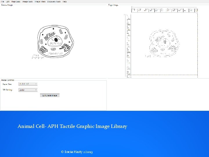 Animal Cell- APH Tactile Graphic Image Library © Lucia Hasty 2/2013 Animal Cell- APH Tactile Graphic Image Library © Lucia Hasty 2/2013