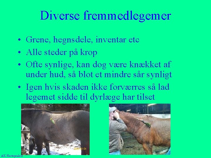 Diverse fremmedlegemer • Grene, hegnsdele, inventar etc • Alle steder på krop • Ofte