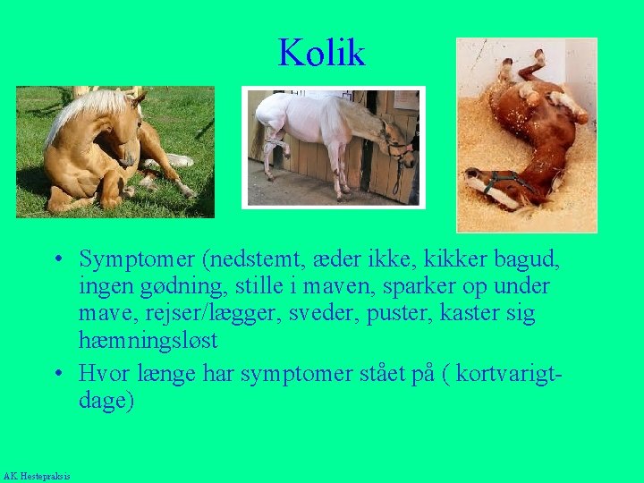 Kolik • Symptomer (nedstemt, æder ikke, kikker bagud, ingen gødning, stille i maven, sparker