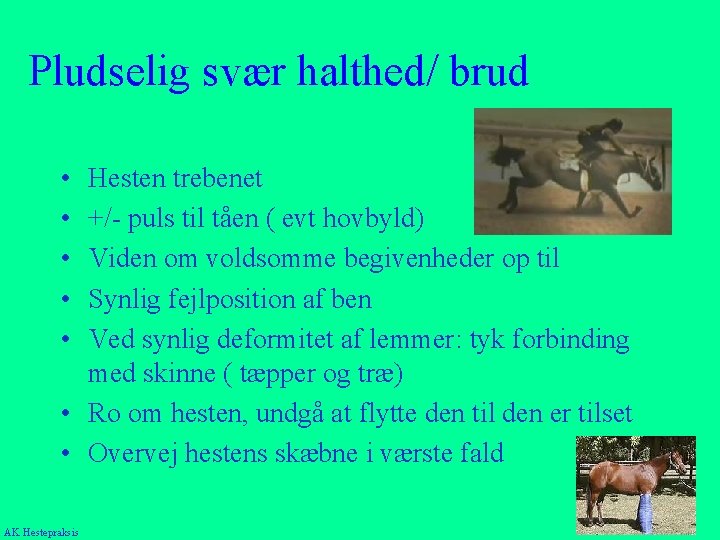 Pludselig svær halthed/ brud • • • Hesten trebenet +/- puls til tåen (