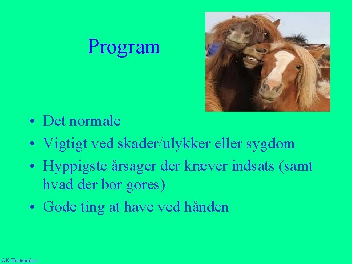 Program • Det normale • Vigtigt ved skader/ulykker eller sygdom • Hyppigste årsager der