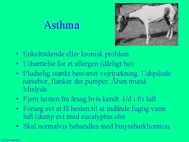 Asthma • Enkeltstående eller kronisk problem • Udsættelse for et allergen (dårligt hø) •