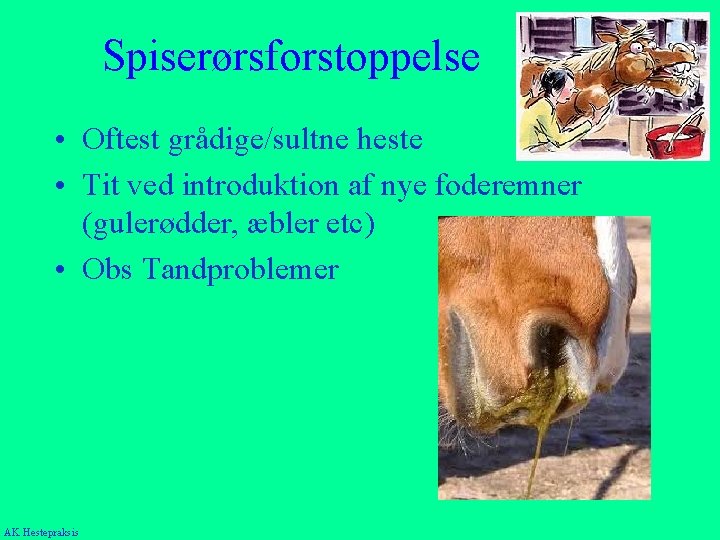 Spiserørsforstoppelse • Oftest grådige/sultne heste • Tit ved introduktion af nye foderemner (gulerødder, æbler