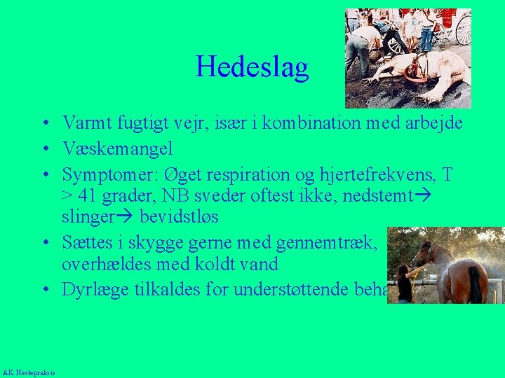 Hedeslag • Varmt fugtigt vejr, især i kombination med arbejde • Væskemangel • Symptomer: