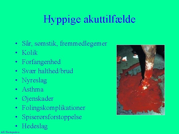 Hyppige akuttilfælde • • • AK Hestepraksis Sår, sømstik, fremmedlegemer Kolik Forfangenhed Svær halthed/brud