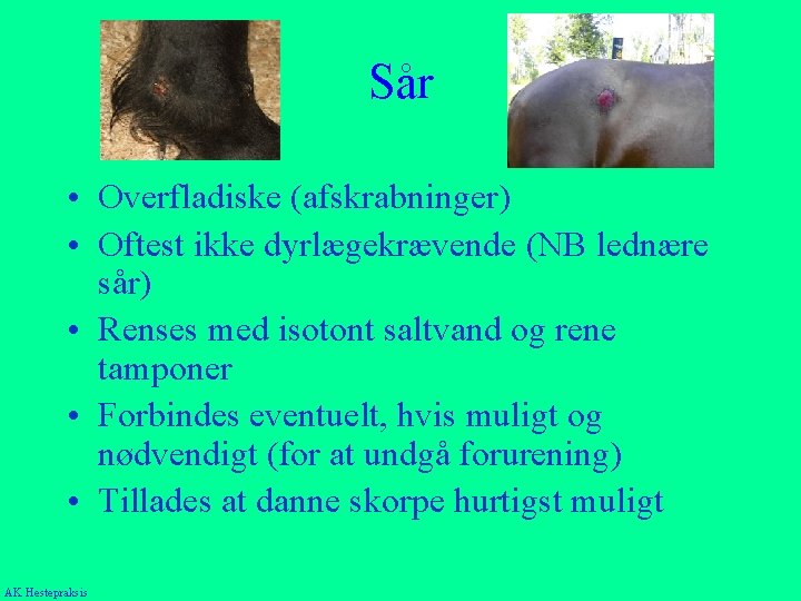 Sår • Overfladiske (afskrabninger) • Oftest ikke dyrlægekrævende (NB lednære sår) • Renses med