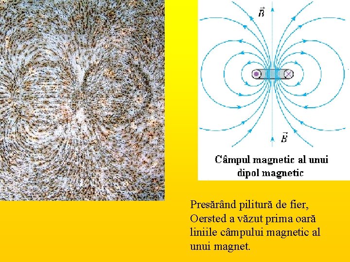 Presărând pilitură de fier, Oersted a văzut prima oară liniile câmpului magnetic al unui
