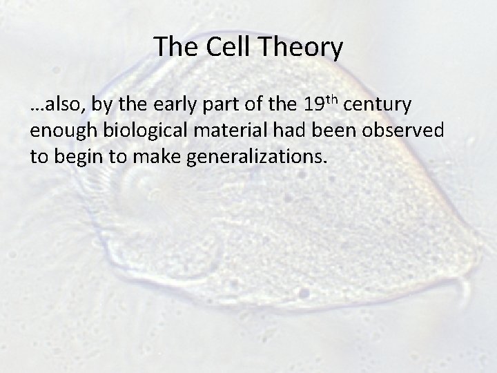 The Cell Theory …also, by the early part of the 19 th century enough The Cell Theory …also, by the early part of the 19 th century enough