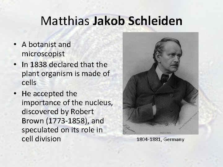 Matthias Jakob Schleiden • A botanist and microscopist • In 1838 declared that the Matthias Jakob Schleiden • A botanist and microscopist • In 1838 declared that the