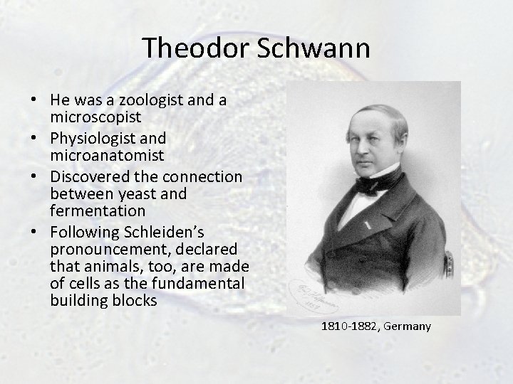 Theodor Schwann • He was a zoologist and a microscopist • Physiologist and microanatomist Theodor Schwann • He was a zoologist and a microscopist • Physiologist and microanatomist
