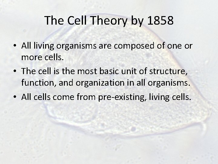 The Cell Theory by 1858 • All living organisms are composed of one or The Cell Theory by 1858 • All living organisms are composed of one or
