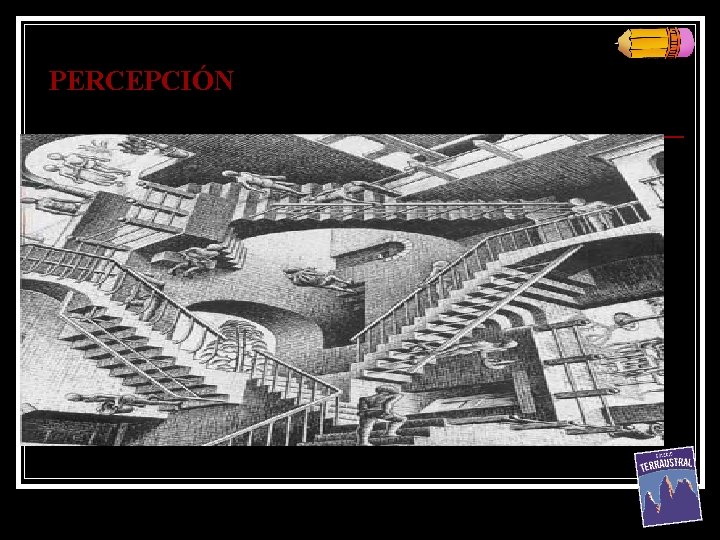 PERCEPCIÓN PERCEPCIÓN