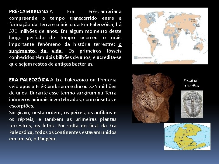 PRÉ-CAMBRIANA A Era Pré-Cambriana compreende o tempo transcorrido entre a formação da Terra e