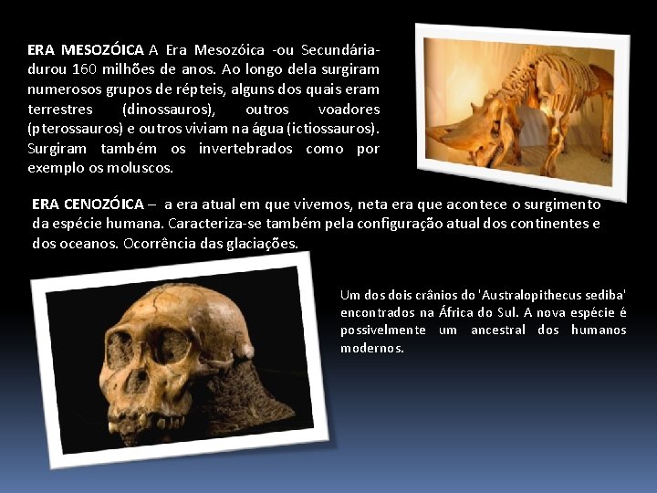 ERA MESOZÓICA A Era Mesozóica -ou Secundária- durou 160 milhões de anos. Ao longo