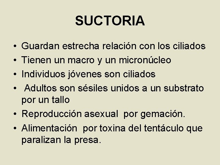 SUCTORIA • • Guardan estrecha relación con los ciliados Tienen un macro y un