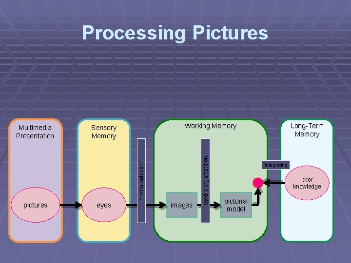 Processing Pictures pictures eyes images media organization Working Memory Sensory Memory media selection Multimedia Processing Pictures pictures eyes images media organization Working Memory Sensory Memory media selection Multimedia