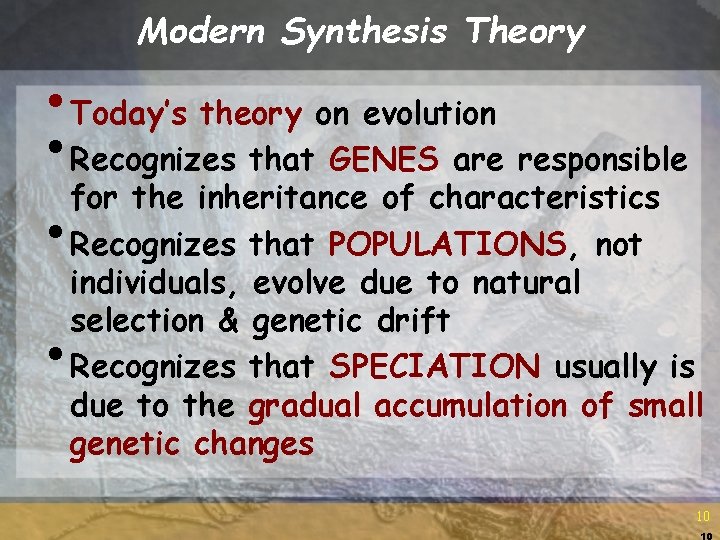 Modern Synthesis Theory • Today’s theory on evolution • Recognizes that GENES are responsible Modern Synthesis Theory • Today’s theory on evolution • Recognizes that GENES are responsible