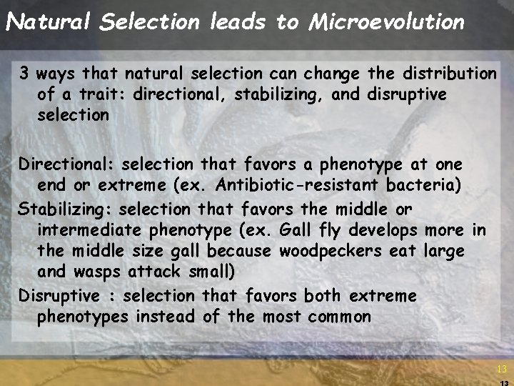 Natural Selection leads to Microevolution 3 ways that natural selection can change the distribution Natural Selection leads to Microevolution 3 ways that natural selection can change the distribution