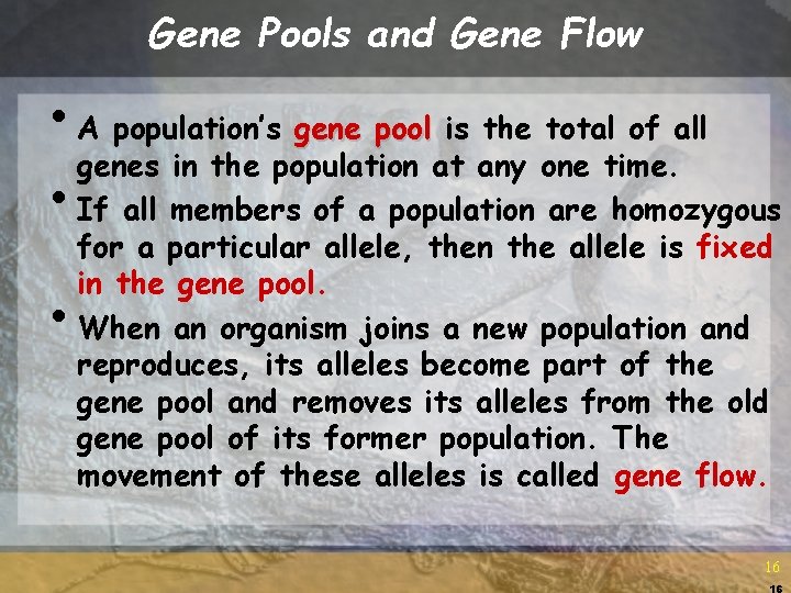 Gene Pools and Gene Flow • A population’s gene pool is the total of Gene Pools and Gene Flow • A population’s gene pool is the total of