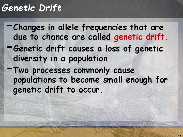 Genetic Drift -Changes in allele frequencies that are due to chance are called genetic Genetic Drift -Changes in allele frequencies that are due to chance are called genetic