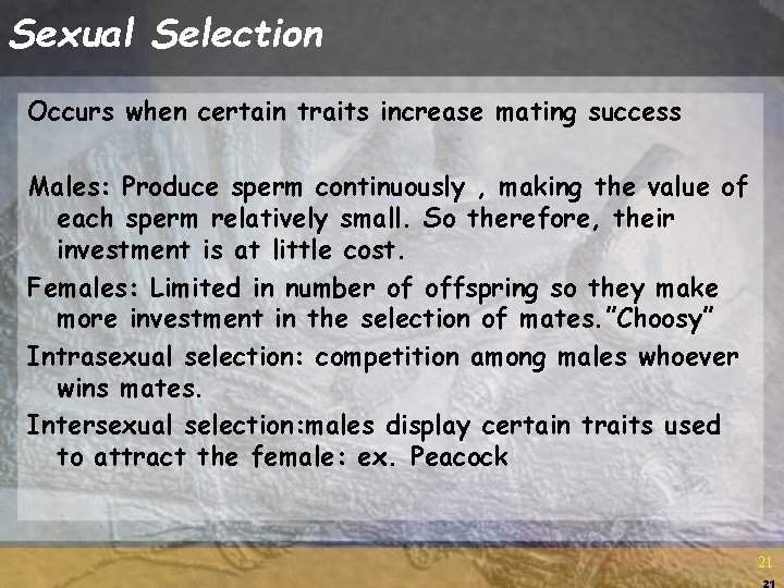 Sexual Selection Occurs when certain traits increase mating success Males: Produce sperm continuously ,