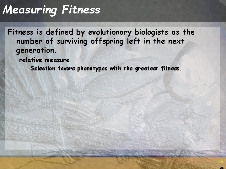 Measuring Fitness is defined by evolutionary biologists as the number of surviving offspring left