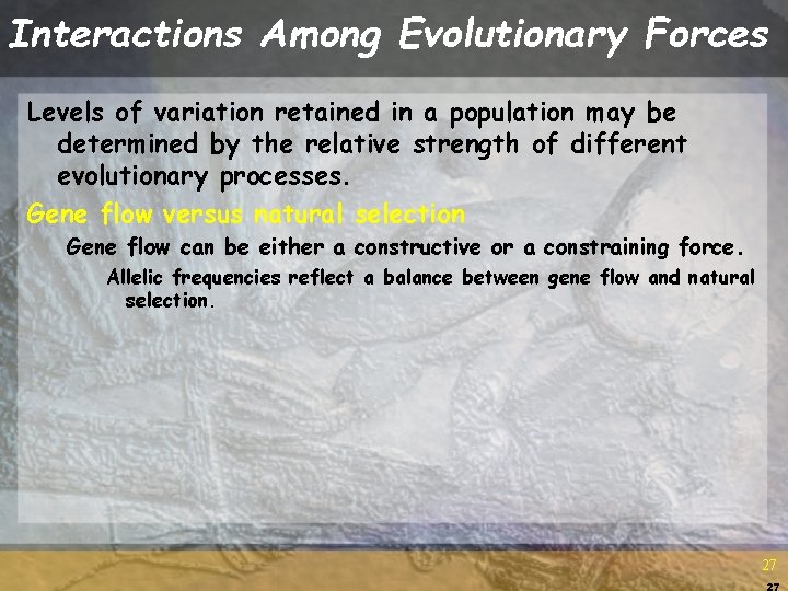 Interactions Among Evolutionary Forces Levels of variation retained in a population may be determined