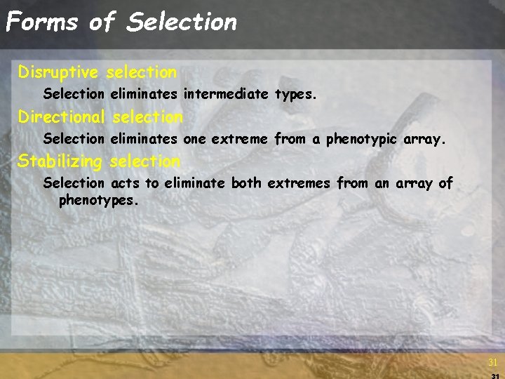 Forms of Selection Disruptive selection Selection eliminates intermediate types. Directional selection Selection eliminates one Forms of Selection Disruptive selection Selection eliminates intermediate types. Directional selection Selection eliminates one