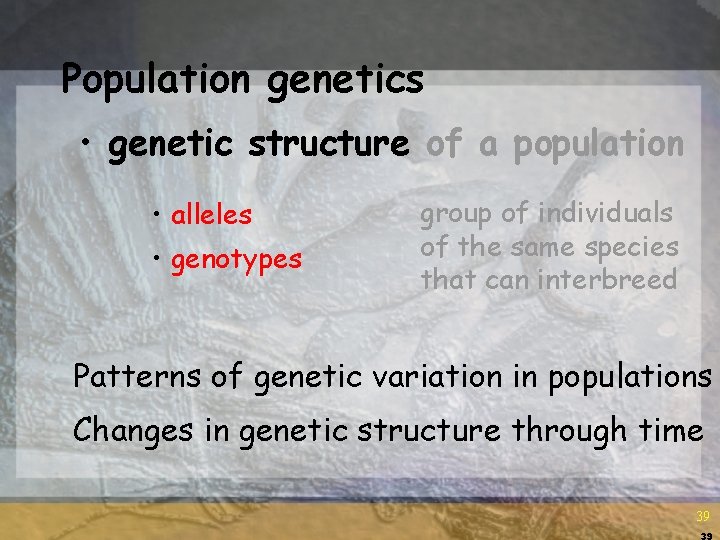 Population genetics • genetic structure of a population • alleles • genotypes group of